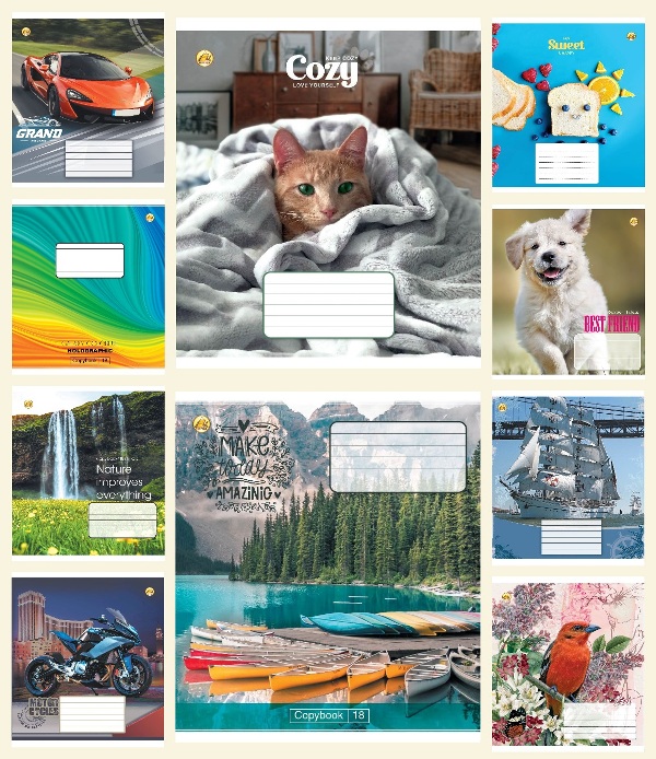 

Набор тетрадей ученических 20 шт Тетрада Микс 2 А5 в клетку 18 листов (10 дизайнов) (51221)