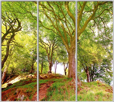 

Шкаф купе Luxe Studio Стандарт-1 Фотопечать Природа-155 2300x2300x600 трехдверный