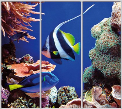 

Шкаф купе Luxe Studio Стандарт-1 Фотопечать Море-15 2300x2000x600 трехдверный