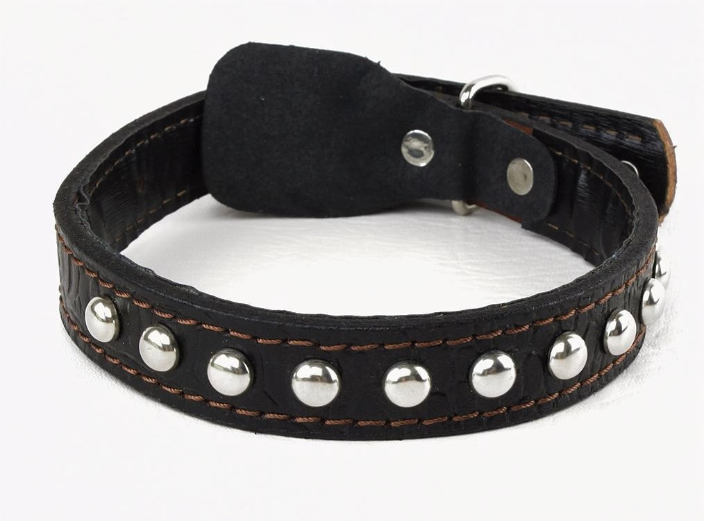 

Ошейник с заклепками Lockdog M (30-44 см) (zoo0000220) Черный