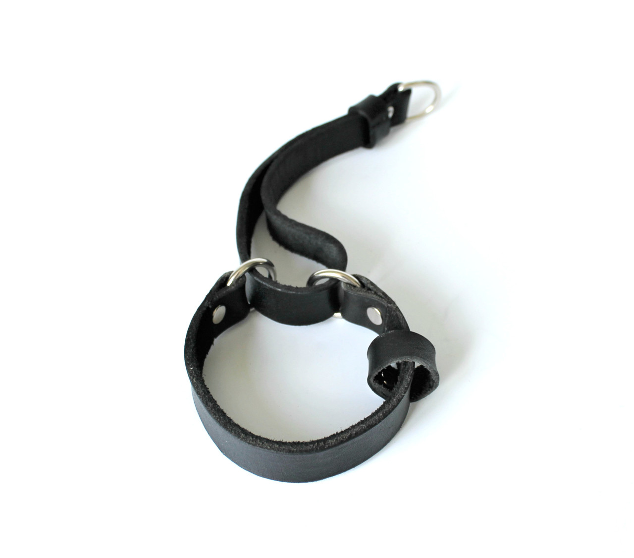 

Ошейник удавка для собак Lockdog L (45-55 см) (zoo0000258) Черный