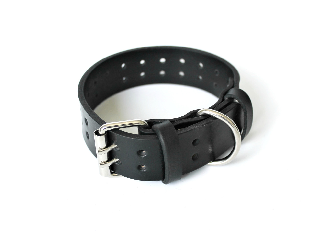 

Ошейник для собак Lockdog XL (56-70 см) (zoo0000247) Черный