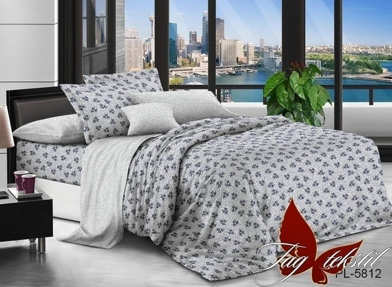 

Комплект постельного белья с компаньоном PL5812 TAG 200x215 см