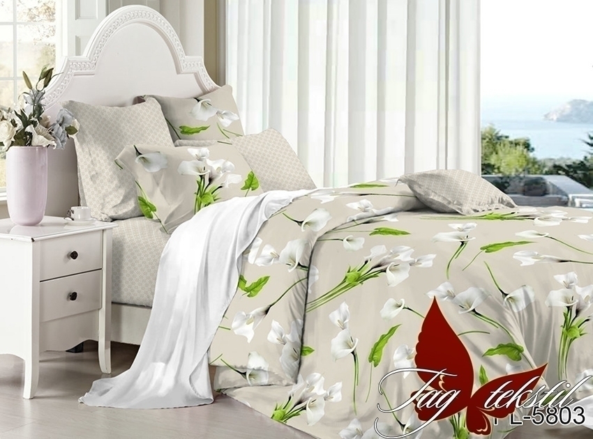 

Комплект постельного белья с компаньоном PL5803 TAG 215x240 см