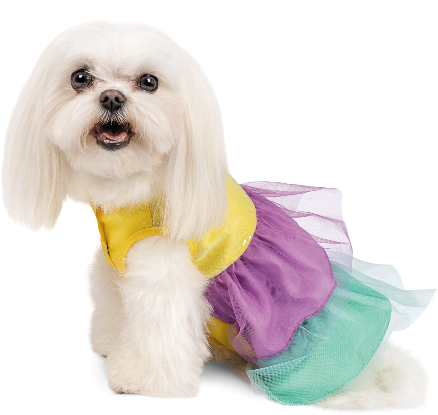 

Платье Pet Fashion Лира S (4823082417001)