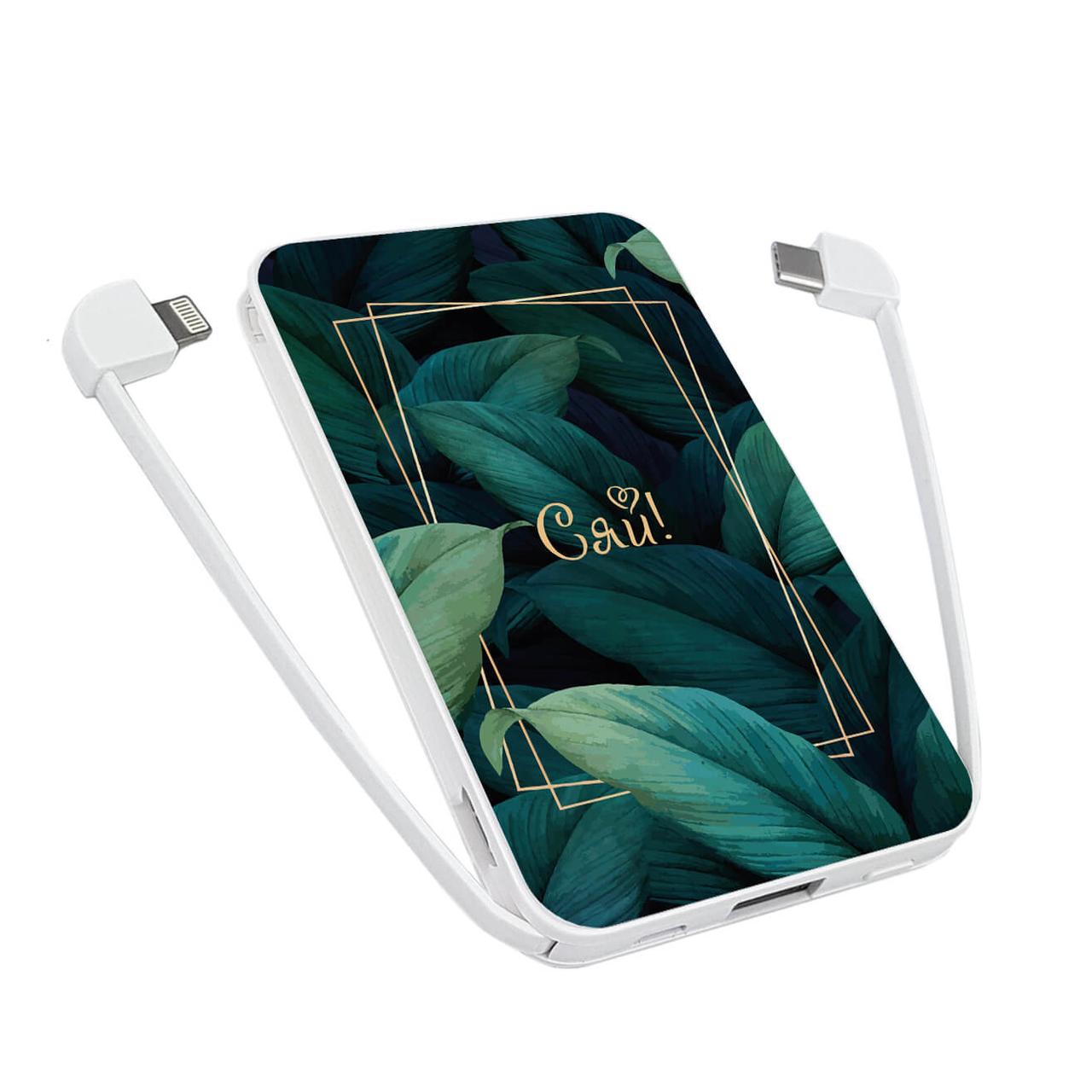 

Power Bank ZIZ 5000 mAh Сяй — Повербанк, УМБ, Портативная батарея (1767)
