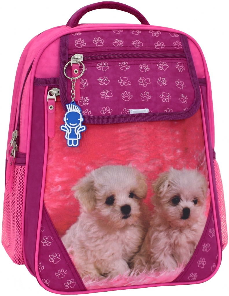 

Рюкзак школьный Отличник Bagland 35х27х21 см (acs0001369) Малиновый