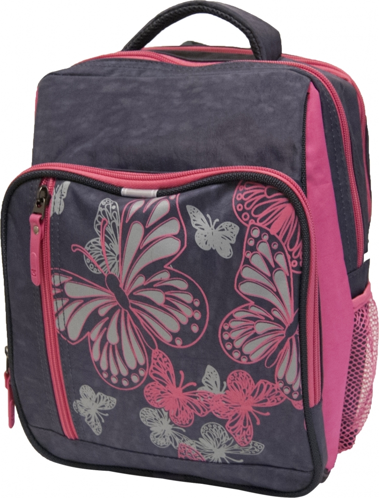 

Рюкзак школьный Bagland 33 x 24 x 11 см (acs0000405) Серый