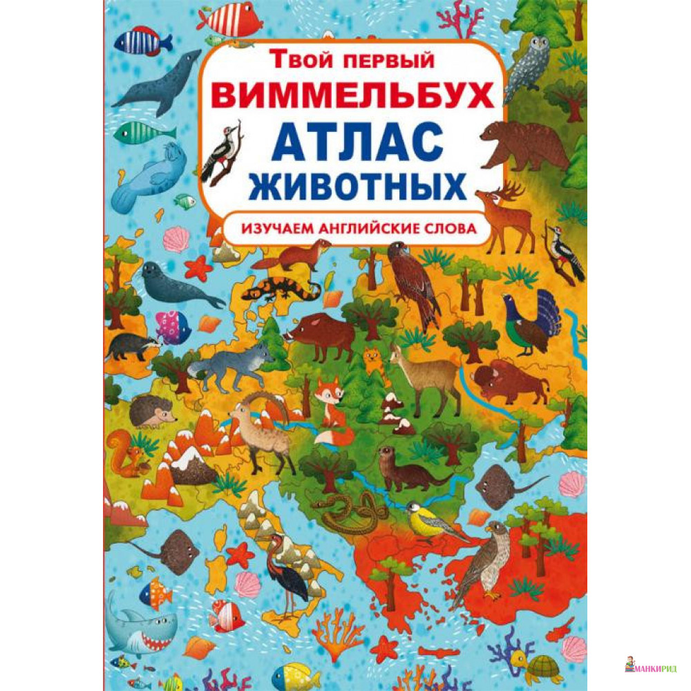

Книга-картонка. Твой первый виммельбух. Атлас животных - Дмитрий Турбанист - Кристал Бук - 854950