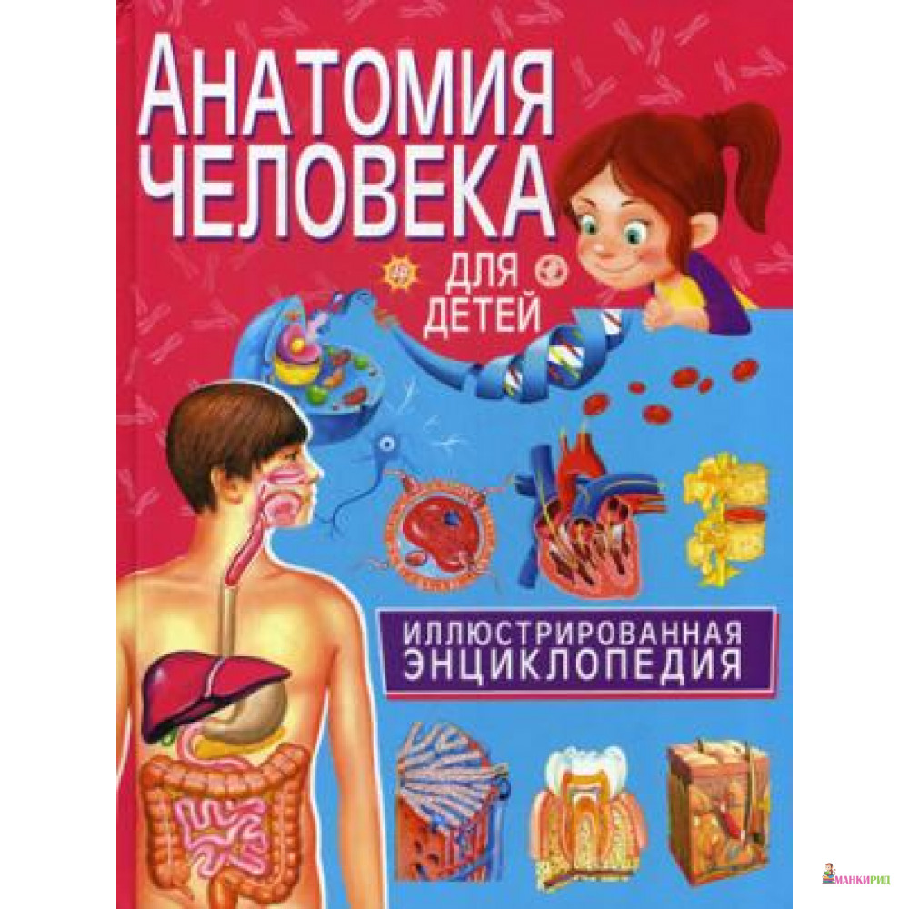 

Анатомия человека для детей. Иллюстрированная энциклопедия - Владис - 796338