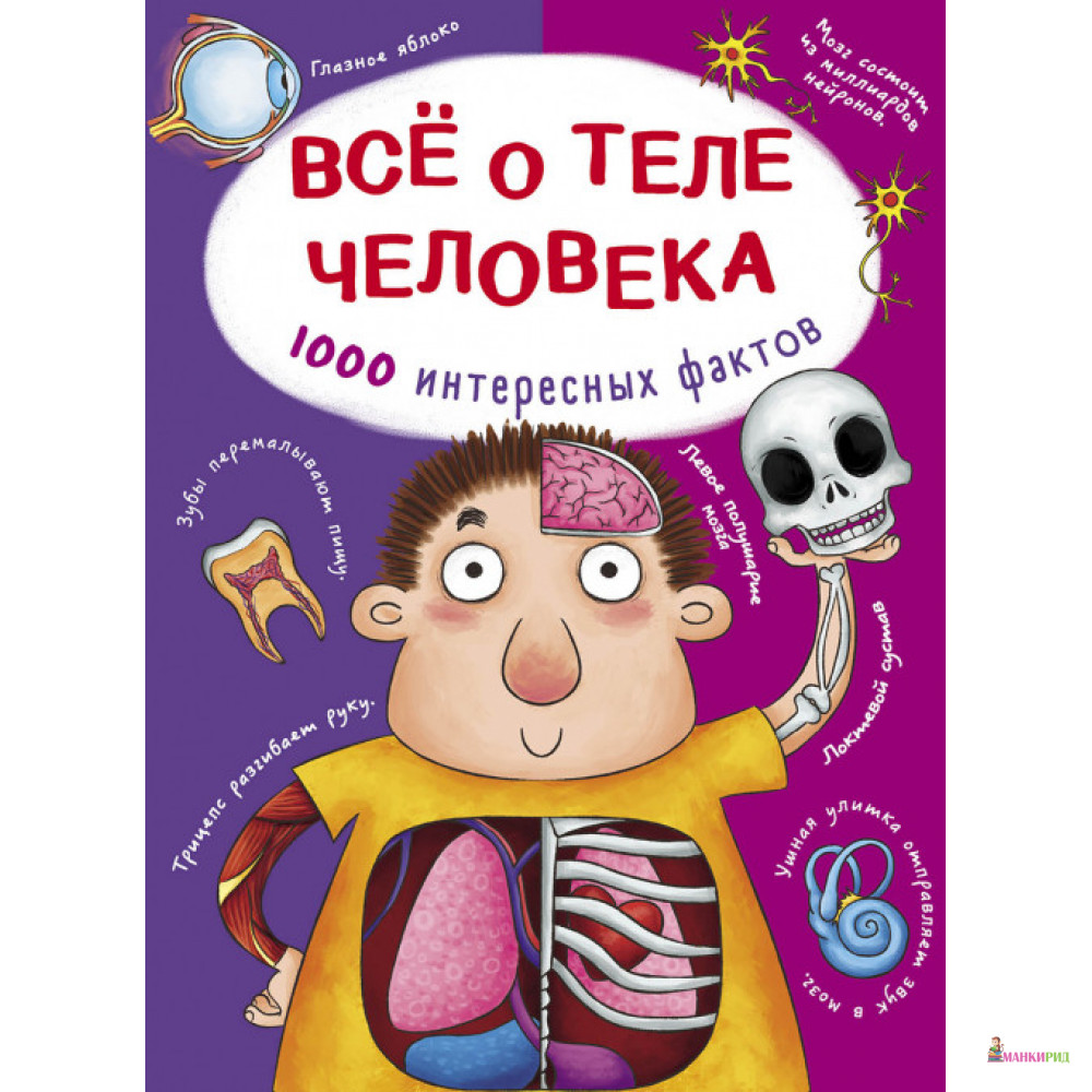 

Все о теле человека. 1000 интересных фактов - Алина Котка - Кристал Бук - 790951