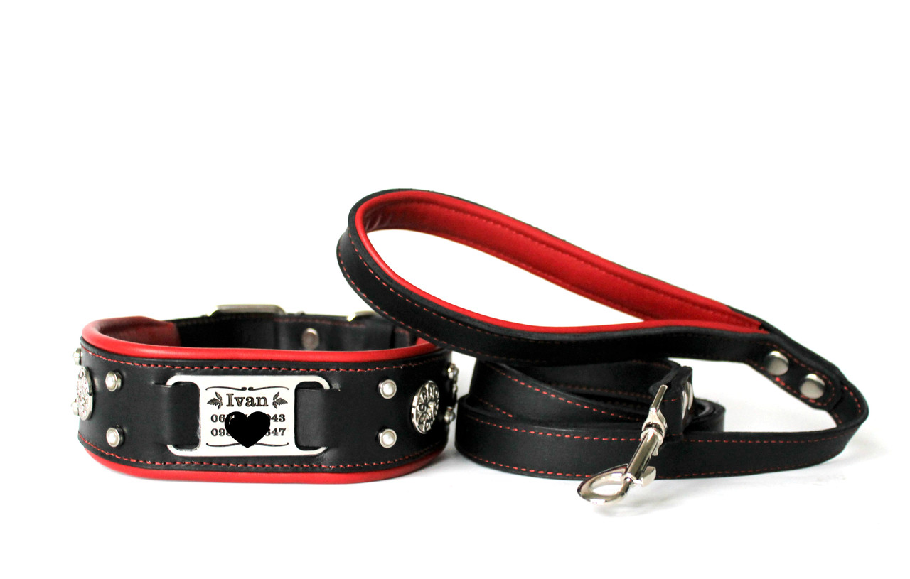 

Ошейник с поводком и адресником для собаки Lockdog XL (56-70 см) Серый 000097521