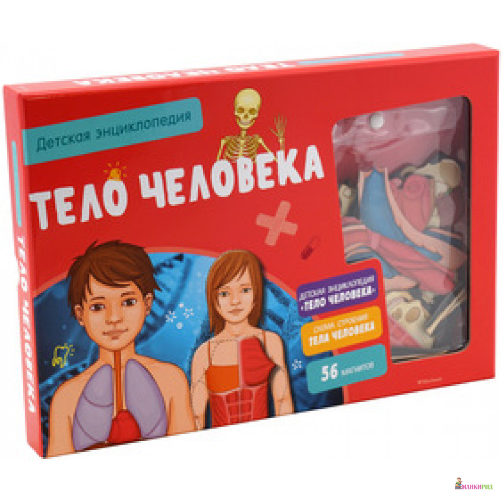 

Тело человека.Детская энциклопедия - Махаон - 733526