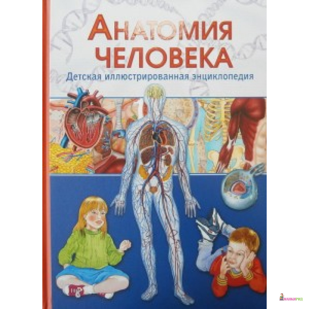 

Анатомия человека.Детская иллюстрированная энцикло - Владис - 480200