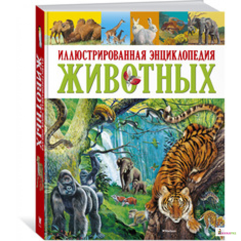 

Иллюстрированная энциклопедия животных - Махаон - 574673