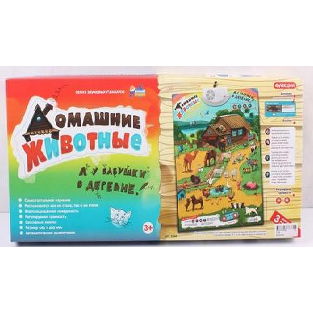 

Плакат обучающий A-Toys (7302/7300)