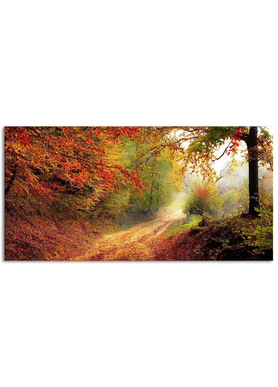 

Фотокартина на холсте Лесная тропа, 60*120 см