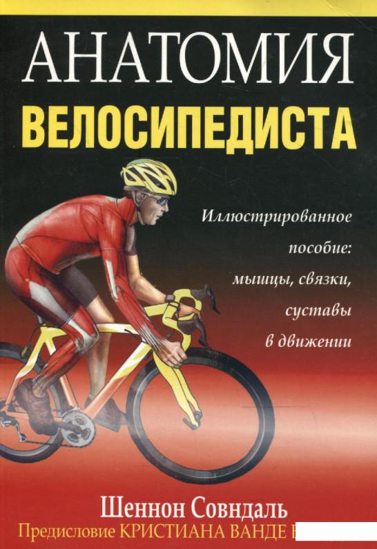 

Анатомия велосипедиста (236838)