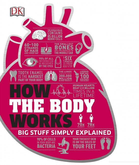 

How the Body Works (754886)