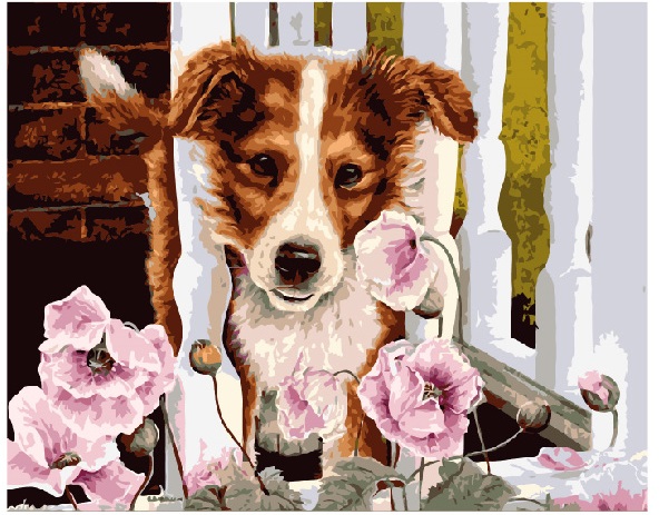 

Картина по номерам Песик в маках GX7554