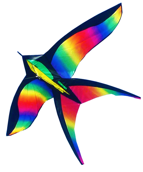 

Воздушный змей Ласточка Fortune Kite 160х100 см (1490)