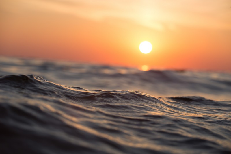 

BeHappy Фотообои Глубокое море SE-8 Глянец