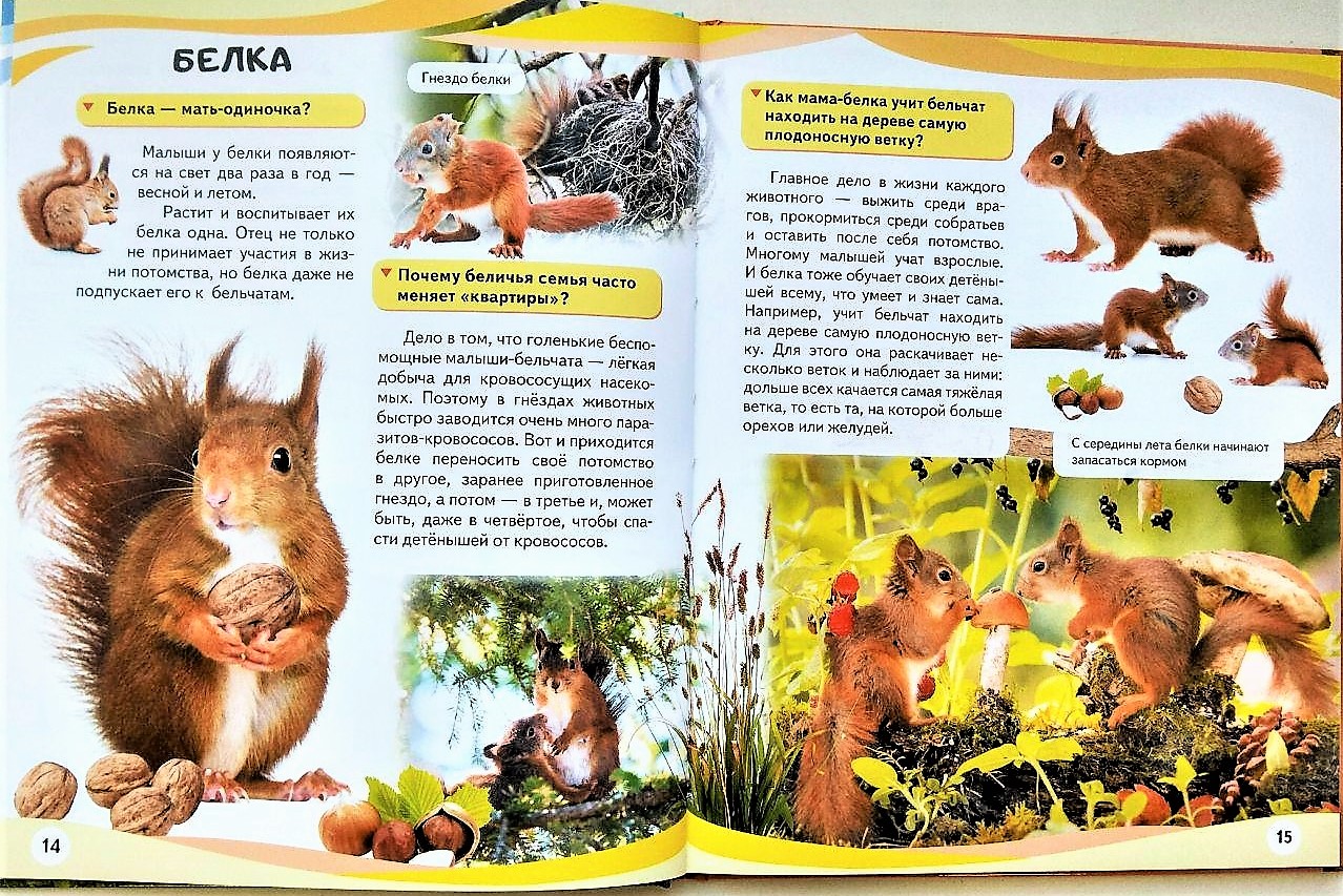 

На крылышках шмелей Топоногова Виктория Примула 112 стр. (kni0001764)
