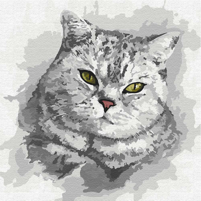 

Картина по номерам. "Зеленоглазый взгляд" 30*30см Идейка KHO4200