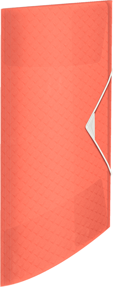 

Папка на резинке Esselte Colour'ice А4 PP на 150л абрикосовая (626221)