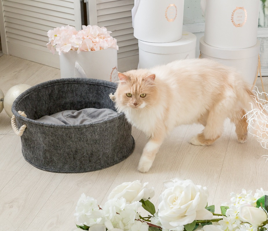 

Корзина-лежак для животных с подушкой Digitalwool 18х40х40 см Серый 000111722