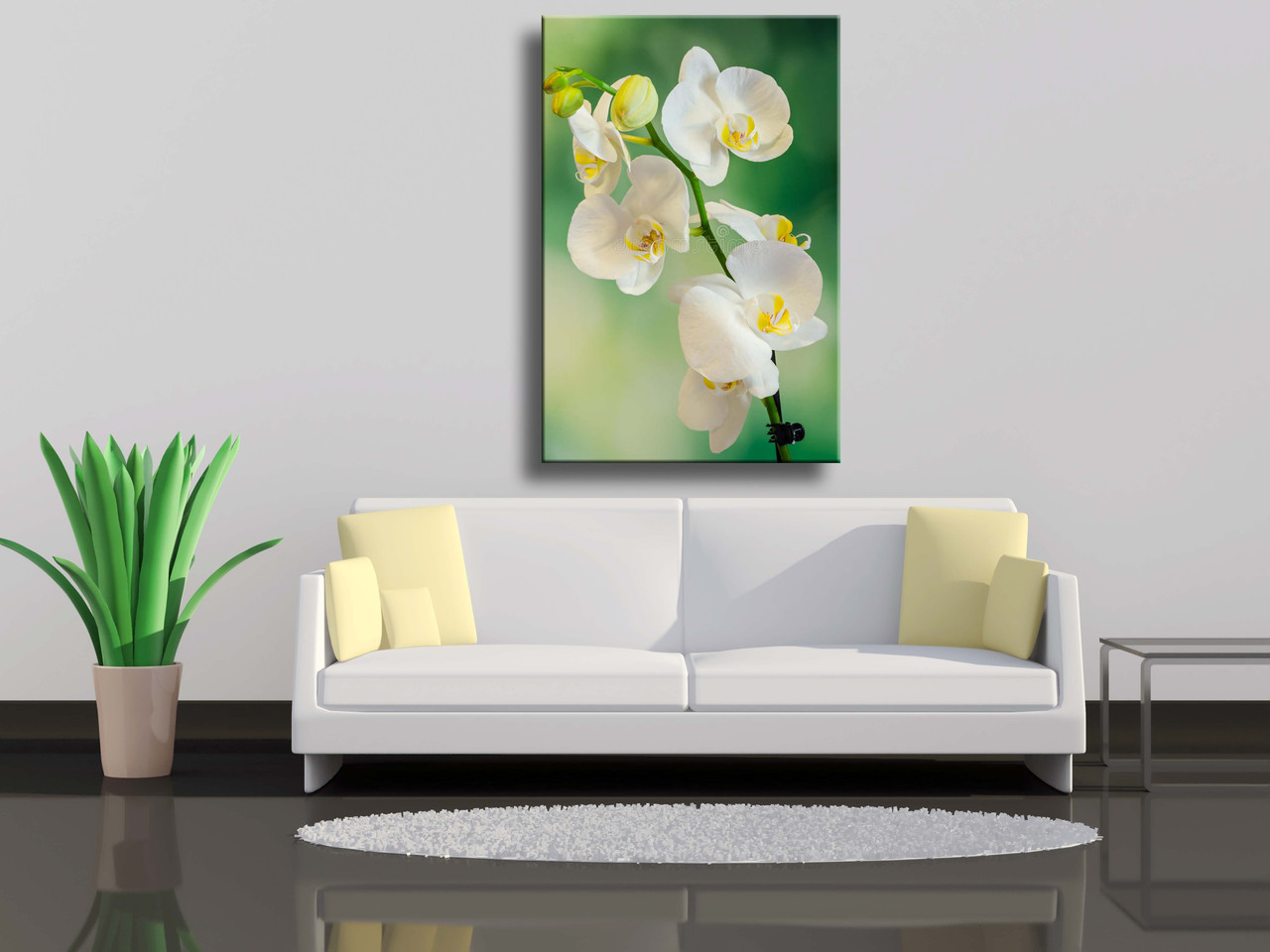 

Картина на холсте Белая ветвь орхидеи,известная как Moth Orchid на фоне боке 60х90