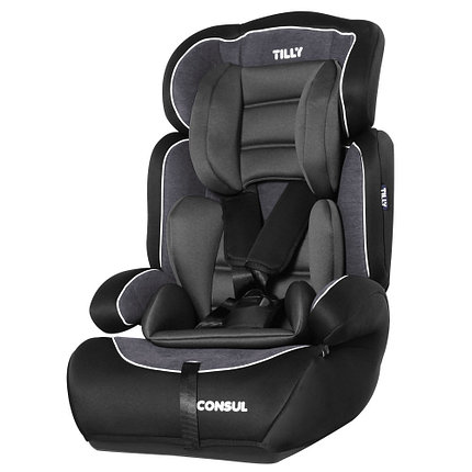 

Автокресло TILLY Consul T-531/2 Black (F00211837)