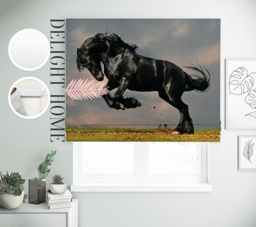 

Римская штора с фотопечатью 00-048 система Prestige I&H Джуси велюр 280*170 см
