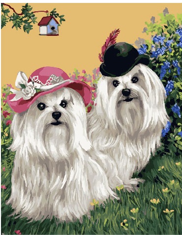 

Картина по номерам BrushMe (Брашми) "Лохматые белые болонки" 40х50 см GX25470