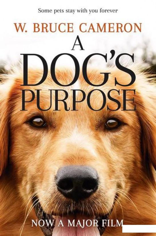 

A Dog's Purpose (863296)