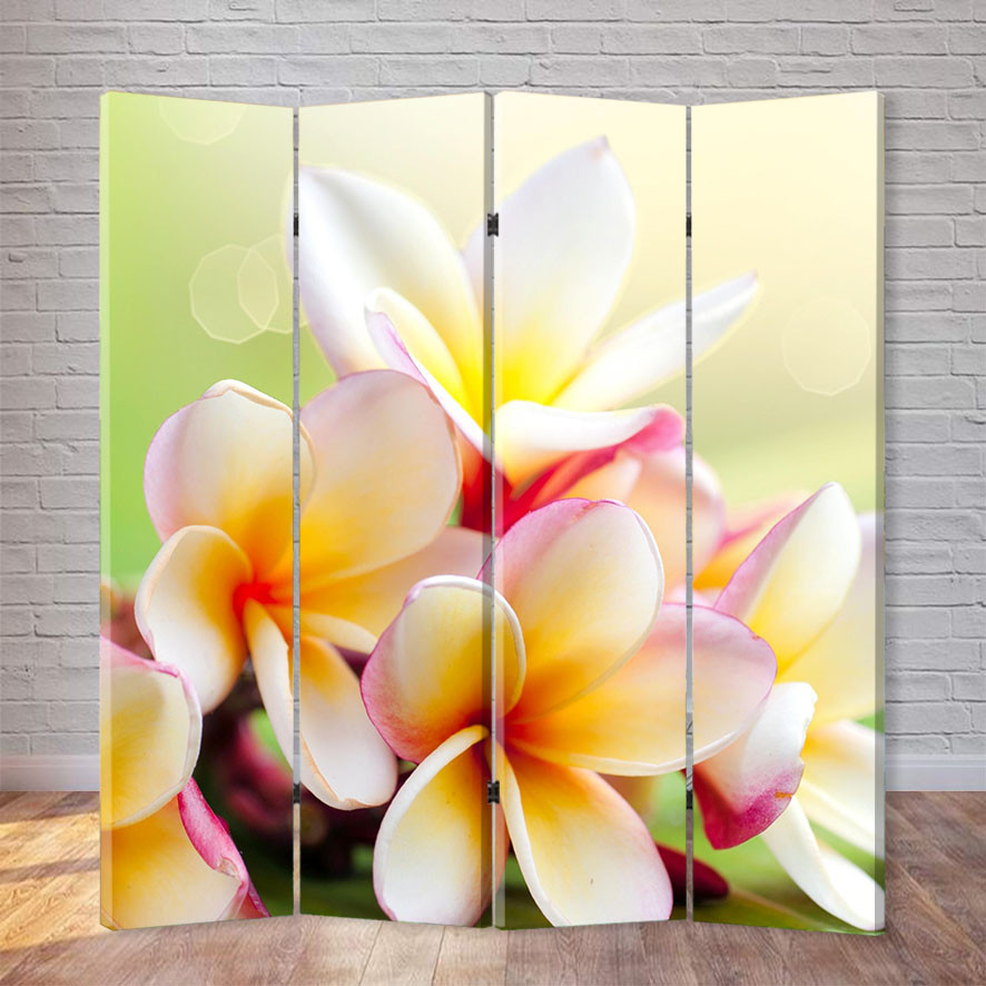 

Ширма декоративная FineDecor "Магнолия" 160х180 см 058а