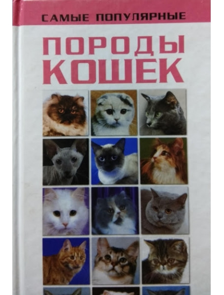 

Самые популярные породы кошек