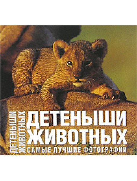 

Детеныши животных. Самые лучшие фотографии