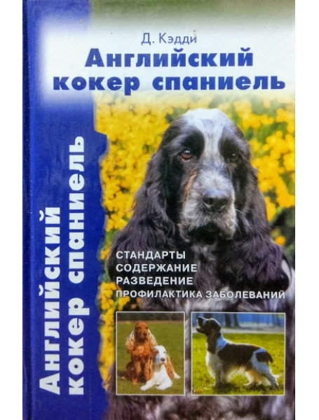 

Английский кокер спаниель. Стандарты. Содержание. Разведение. Профилактика заболеваний