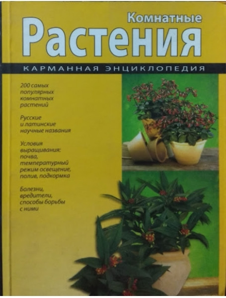

Комнатные растения