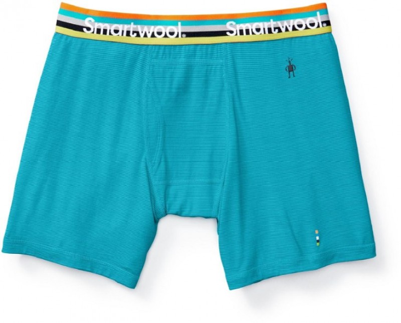 

Трусы Smartwool Merino 150 Pattern Boxer Brief L Голубой