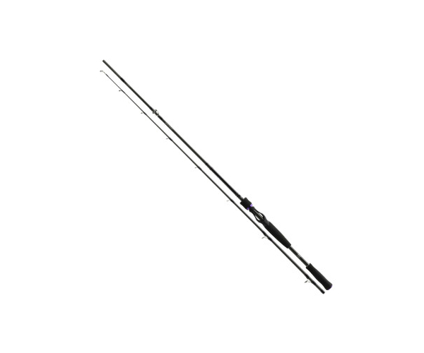 

Спиннинг Daiwa Prorex XR JERK 1.95m 40-120gr (арт.1919926087)