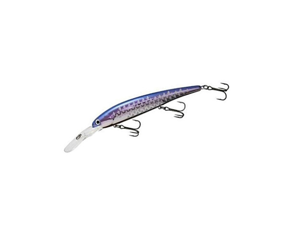 

Воблер Bandit Walleye Deep 120mm 17.5gr #2B21 (арт.19191005602)