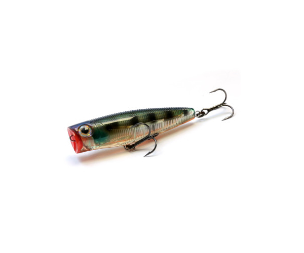 

Поппер Yo-Zuri Sashimi Popper (F) 90mm 20.5g #CPPC (арт.1919728658)