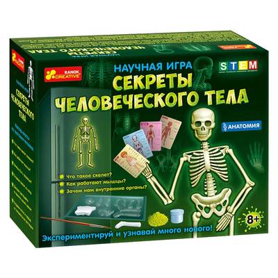 

Научная игра Ranok Creative Анатомия Скелет человека (12115017Р) (10-541509)