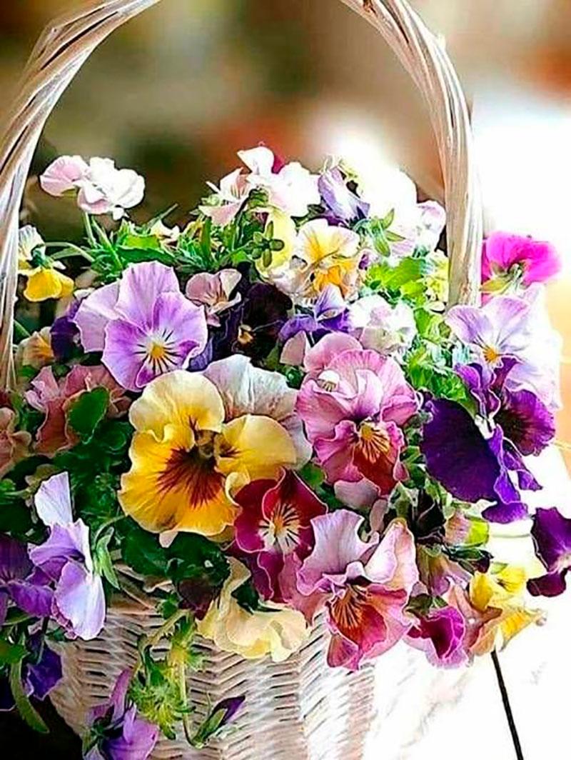 

Картина за номерами Лавка Чудес LC40036 Яскравий букет 40х50 см (00000271268)