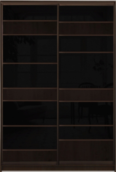 

Шкаф купе Luxe Studio Стандарт-2 Цветной комбинированный фасад-18 1000x2200x450 двухдверный