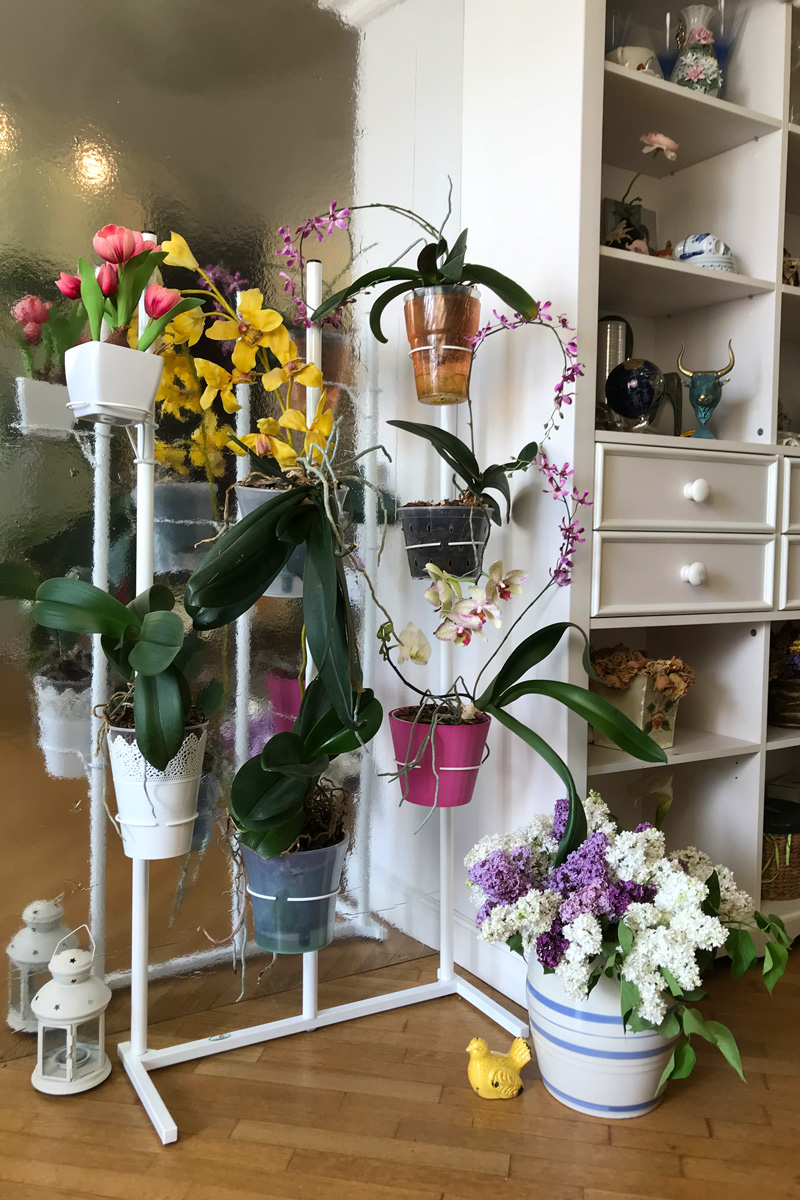 Идеи для полки орхидей: создайте уютный уголок для ваших растений