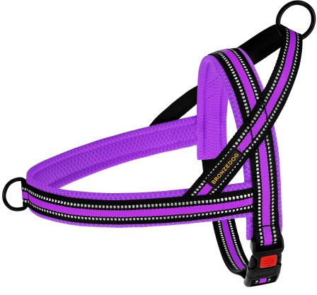 

Шлея для Собак BronzeDog Mesh Скандинавская Фиолетовая, M 36 cм/44-60 см (81207)