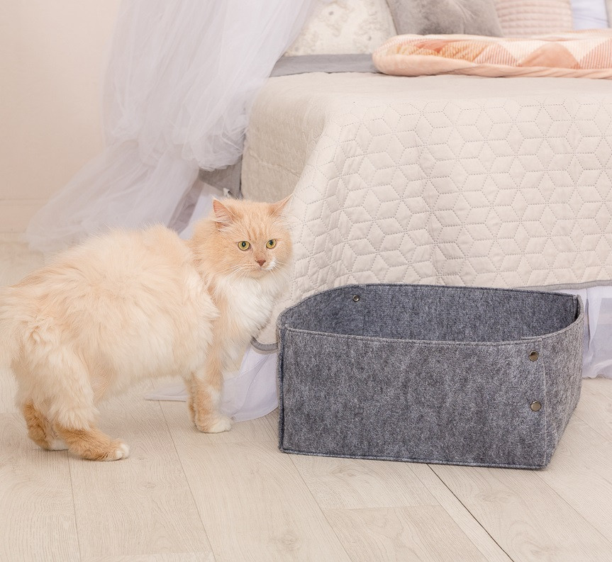 

Корзина-лежак для животных на кнопках без подушки Digitalwool 20х40х40 см (zoo0000400) Серый